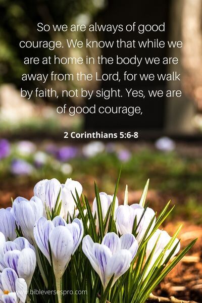 2 Corinthians 5_6-8