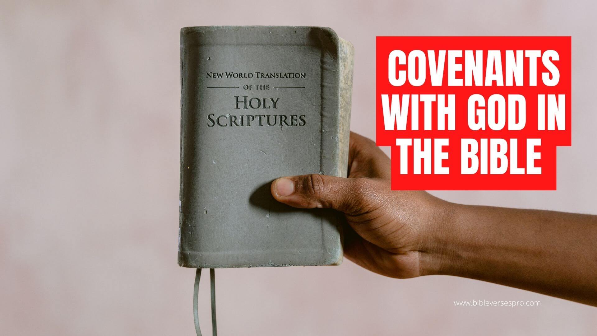Covenants With God In The Bible