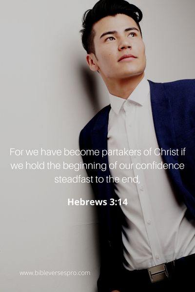 Hebrews 3_14