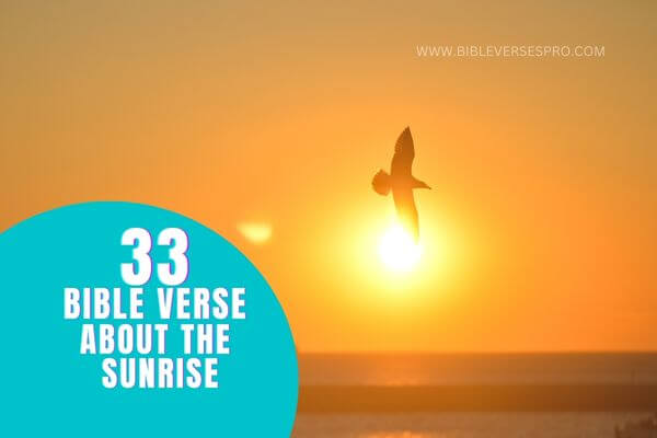 BIBLE VERSE ABOUT THE SUNRISE