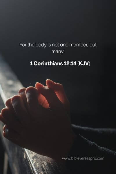 1 Corinthians 12_14 - We are one body in Christ