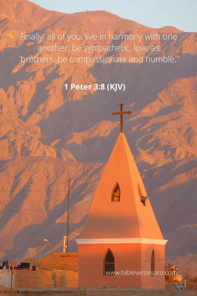 1 Peter 3_8 - Applying the apostle's warning