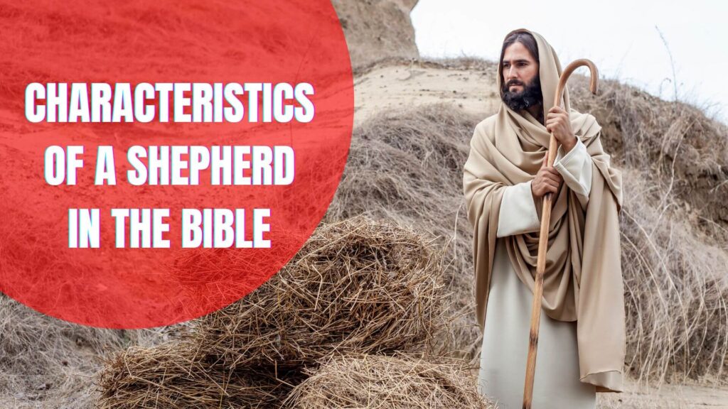 What Does A Shepherd Symbolize Bible Verses