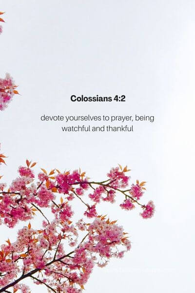 Colossians 4_2 - Watchful and thankful