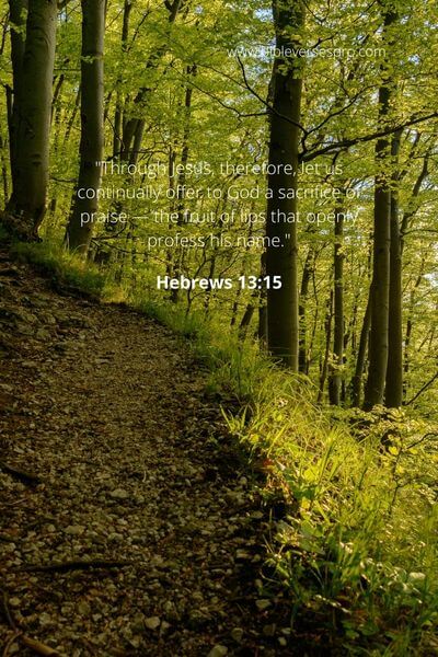 Hebrews 13_15 - living sacrifices of adoration and gratitude