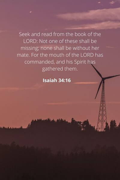 Isaiah 34_16 - Seek and read the book of the Lord