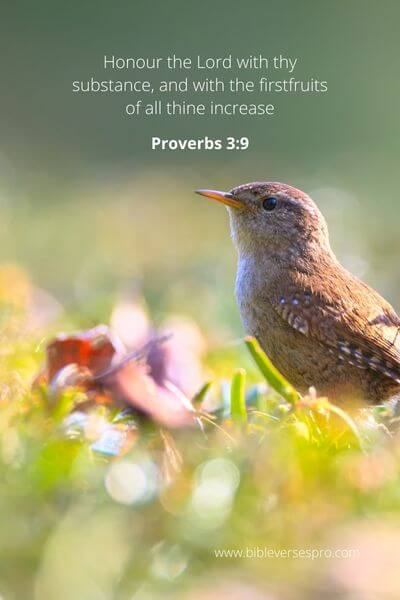 Proverbs 3_9 - Showing generosity