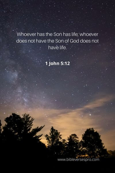 1 John 5_12 - The son of the living God