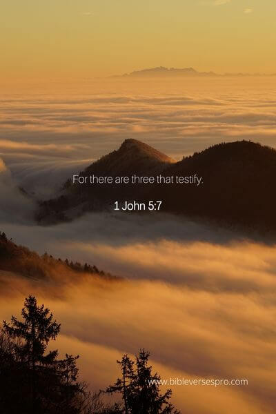 1 John 5_7 - The Son of Christ