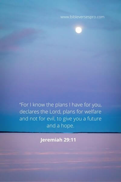 Jeremiah 29_11 - God has painted the picture of His vision and revealed it to you