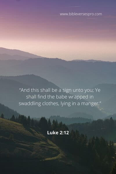 Luke 2_12 - His precious gift to man