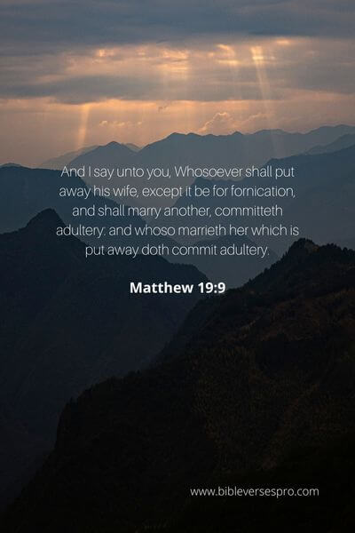 Matthew 19_9 - Jesus declares divorce to be sinful