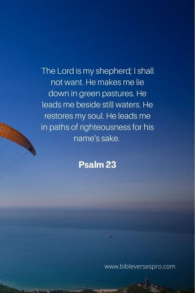 Psalm 23 - For His kindness
