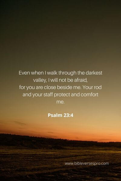 Psalm 23_4 - Fear is unnecessary. 