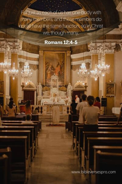 Romans 12_4-5
