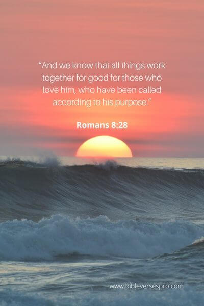 Romans 8_28