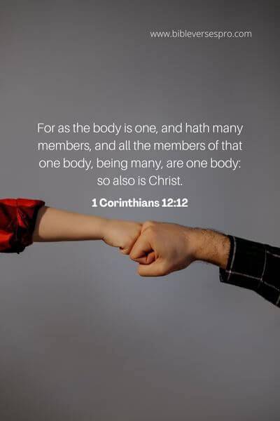 1 Corinthians 12_12