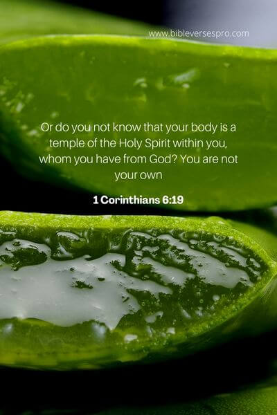 1 Corinthians 6_19