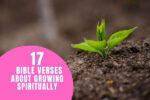 17 Bible Verses about Growing Spiritually