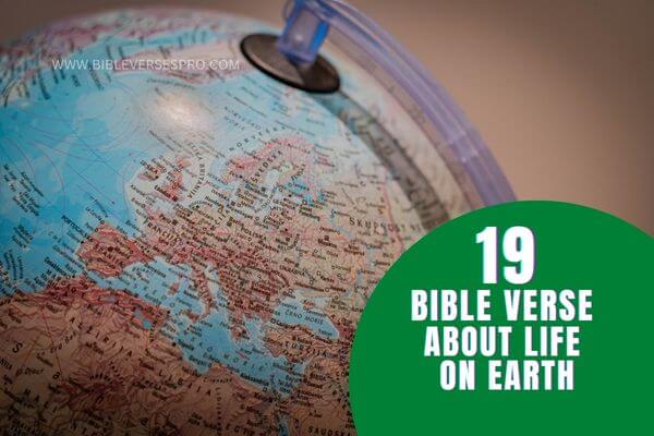 BIBLE VERSES ABOUT LIFE ON EARTH