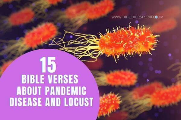 Bible verse about pandemic disease and locust