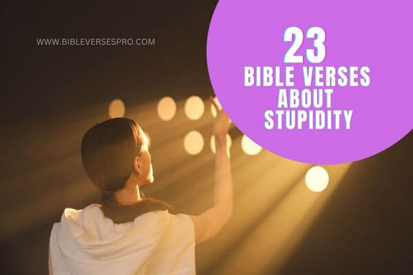 bible verses about stupidity