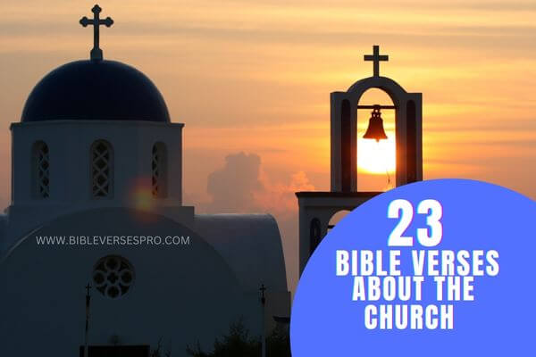 _BIBLE VERSES ABOUT THE CHURCH