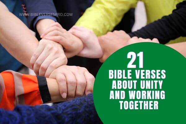 Bible Verses about Unity and Working Together