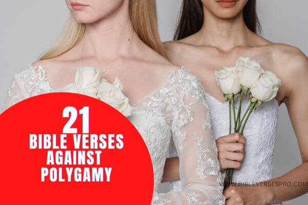 BIBLE VERSES AGAINST POLYGAMY