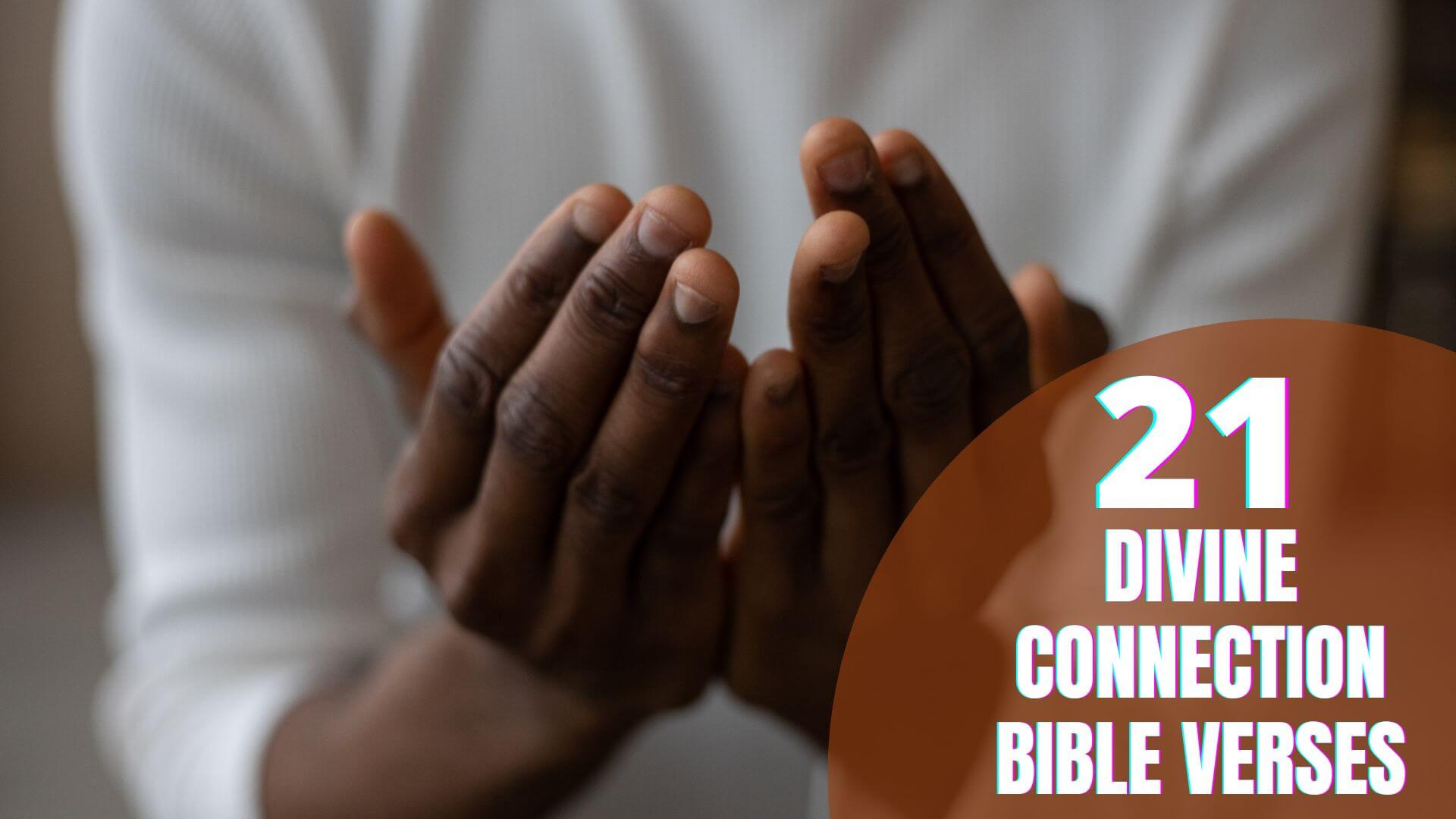 Divine Connection Bible Verses