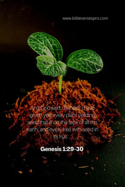 Genesis 1_29-30 