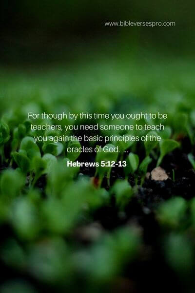 Hebrews 5_12-13 