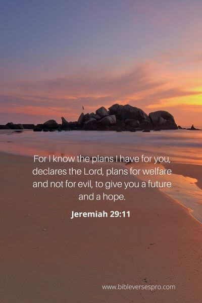 Jeremiah 29_11 