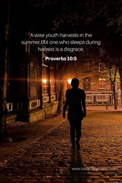 Proverbs 10_5