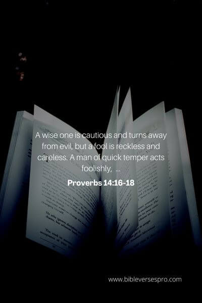 Proverbs 14_16-18