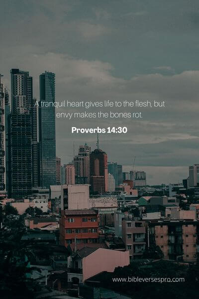 Proverbs 14_30