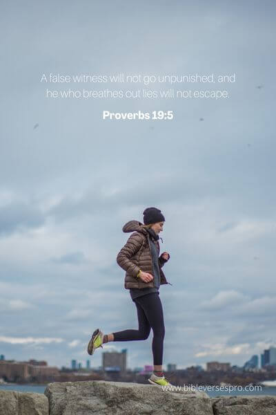 Proverbs 19_5