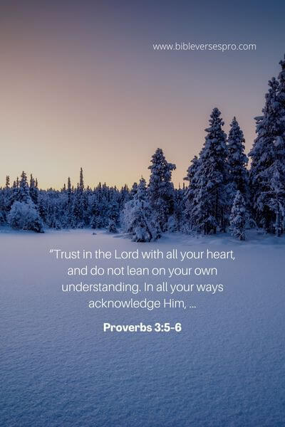 Proverbs 3_5-6