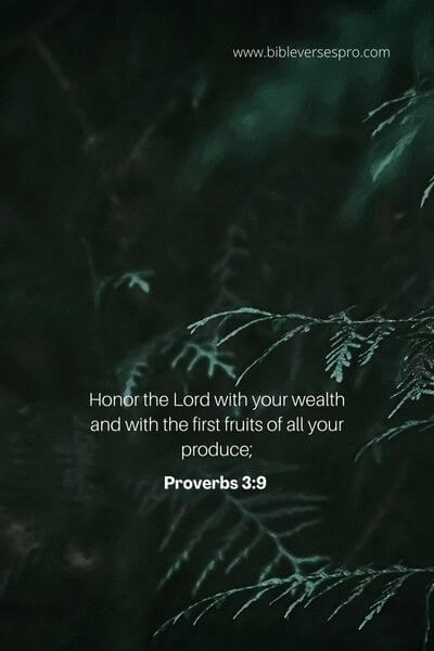Proverbs 3_9 