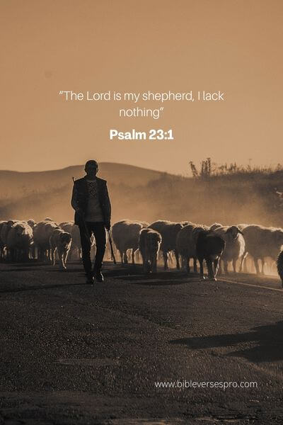 Psalm 23_1