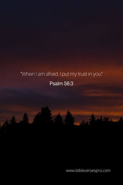 Psalm 56_3