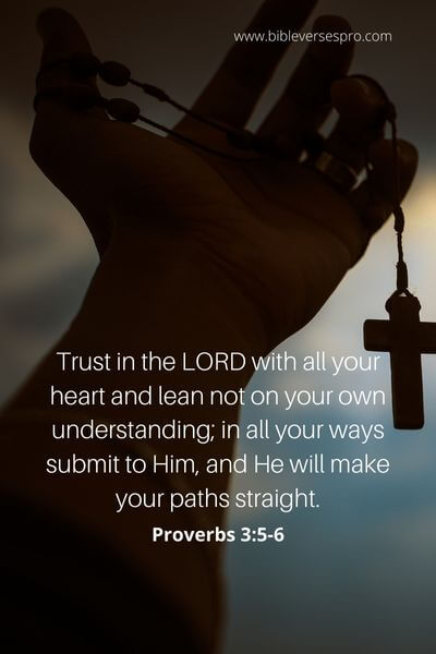 Proverbs 3_5-6