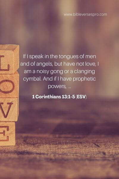 1 Corinthians 13_1-5 (ESV)