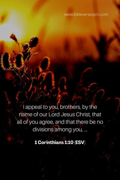 1 Corinthians 1_10 (ESV)