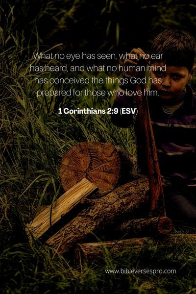 1 Corinthians 2_9 (ESV)