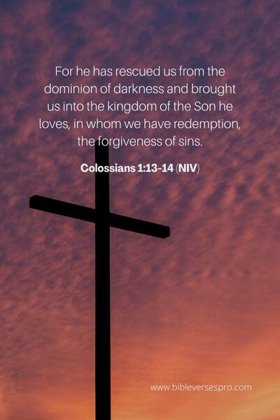 Colossians 1_13-14 (NIV)