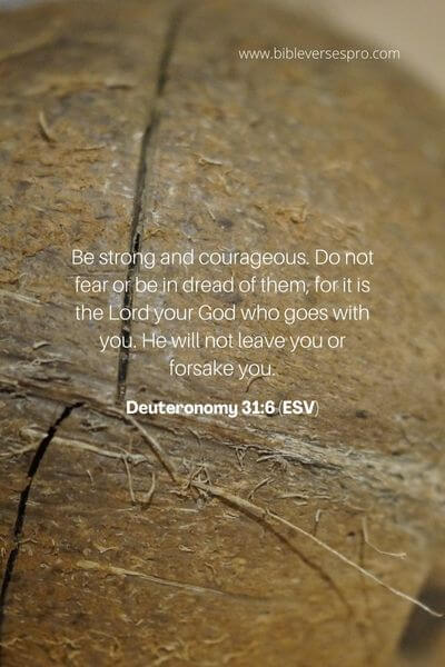 Deuteronomy 31_6 (ESV)
