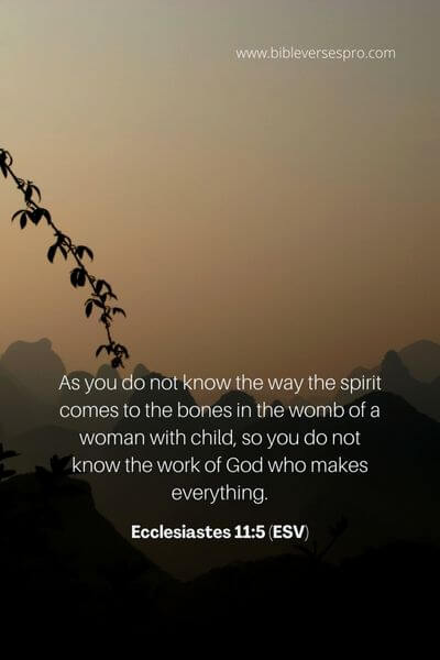 Ecclesiastes 11_5 (ESV)