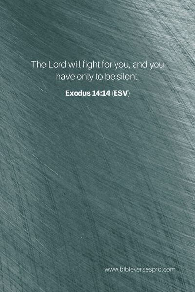 Exodus 14_14 (ESV)