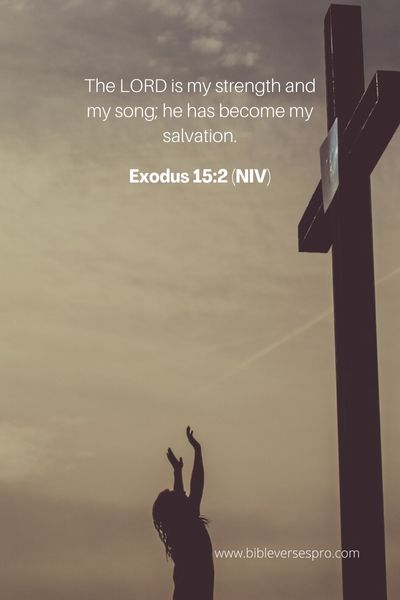 Exodus 15:2 (Niv)